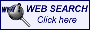 Search the Internet with Broken Windows Web Search